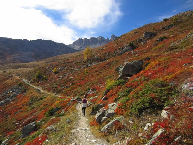 20121006_115200_Mandelon 008.JPG
